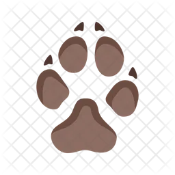Dog Footprint  Icon