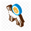 Dog Footprint  Icon