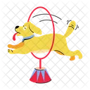 Dog Hula  Icon