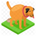 Animal Feces Pet Icon