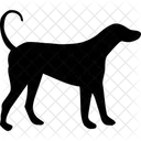 Dog Animals Icon
