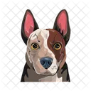 Bella Max Luna Icon