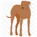 Dog  Icon