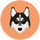 Dog Animal Canadian Eskimo Dog Icon