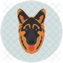 Dog Canine Detection Dog Icon