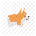 Dog Corgi Vector Icon