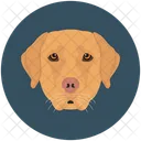 Dog Face Pet Icon