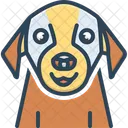Pet Tame Domestic Icon