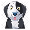 Dog Pet Animal Icon