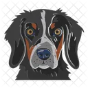 Dog Pet Animal Icon