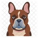 Dog Pet Animal Icon