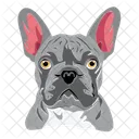 Dog Pet Animal Icon