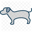 Dog Pet Animal Icon