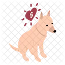 Dog  Icon