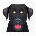 Dog Icons Animal Icons Domestic Dog Icon