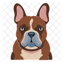 Dog Pet Animal Icon