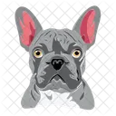 Dog Pet Animal Icon