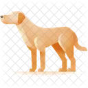 Dog Pet Animal Icon