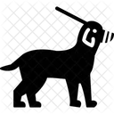 Dog Leash Pet Icon