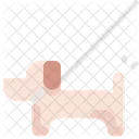 Dog Pet Shop Icon