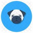 Dog  Icon