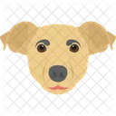 Dog Pet Puppy Icon