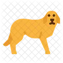 Dog Tags Pet Icon