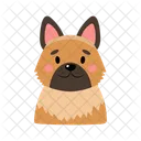 Artboard Copy Icon