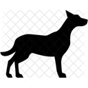 Dog Icon