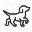 Dog Labrador Retriever Icon