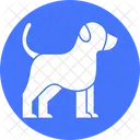 Dog Doggie Domesticated Animal Icon