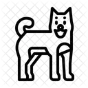 Dog  Icon