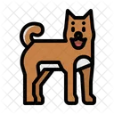 Dog Shiba Japan Icon