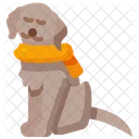 Dog  Icon