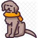 Dog  Icon