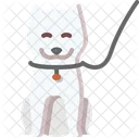 Dog  Icon