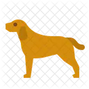 Dog  アイコン