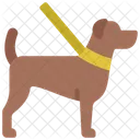 Dog  Icon