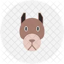 Dog  Icon