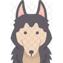 Dog  Icon