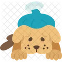 Dog Sick Animal 아이콘