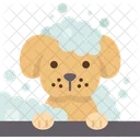 Dog Bathing Hygiene 아이콘