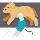 Dog Diagnosis Disease 아이콘