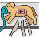 Dog Surgery Operation 아이콘