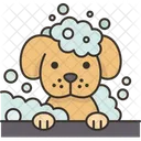 Dog Bathing Hygiene 아이콘