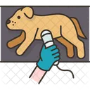 Dog Diagnosis Disease 아이콘
