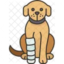 Dog Splint Fracture 아이콘