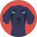 Foxhound Dog Cur Icon