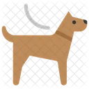 Dog Leash Pet Dog Icon