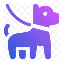 Dog Leash  Icon